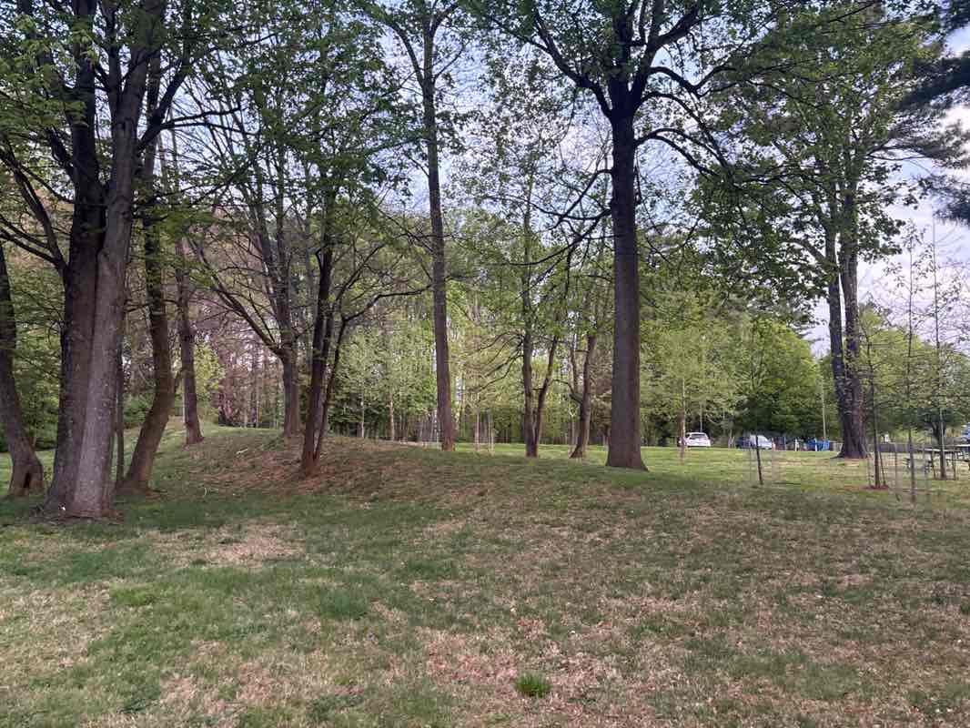 walking near me in Wall Local Park in spring