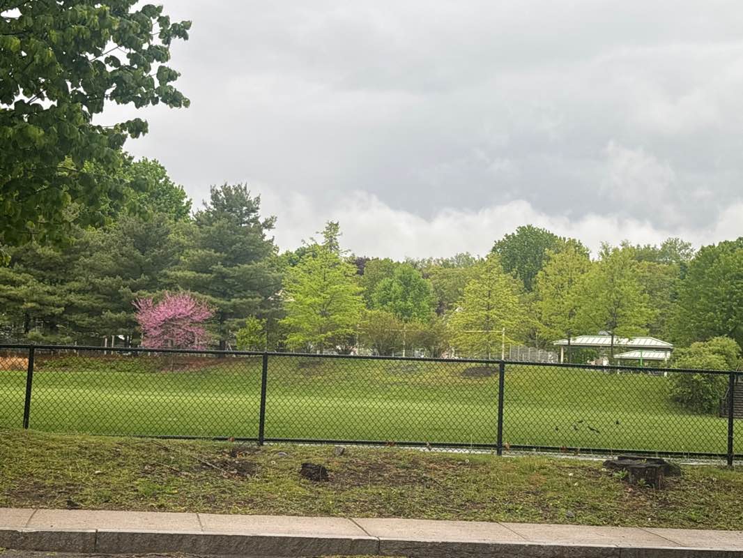 walking near me in Roberts Playground in spring
