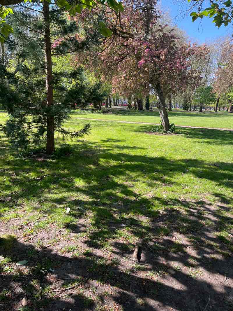 walking near me in Whitworth Park in spring