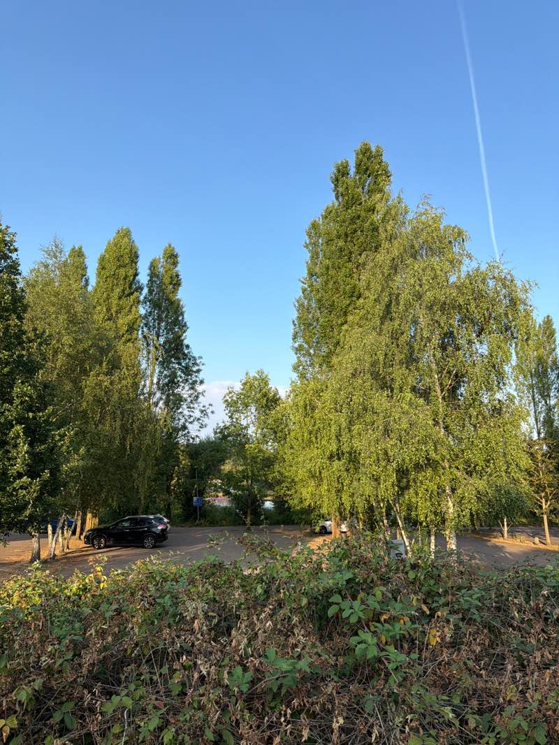 walking near me in Stanborough Park in summer