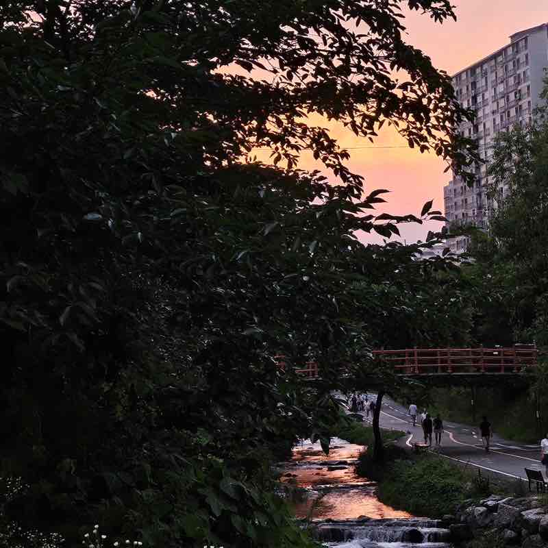 운동해서 맛있는거 먹기 JAMES post image