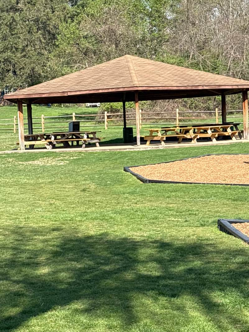 walking near me in Barker Park in spring