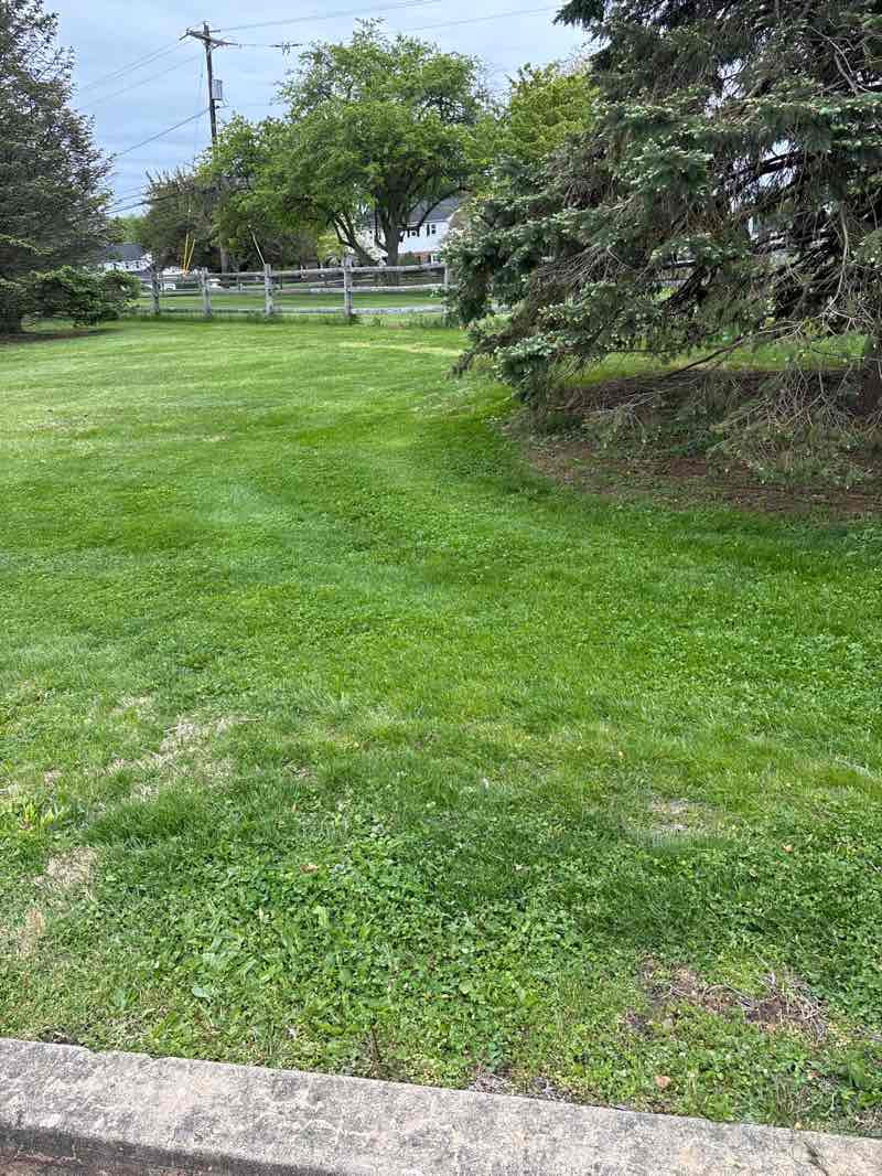 walking near me in West Goshen Community Park in spring