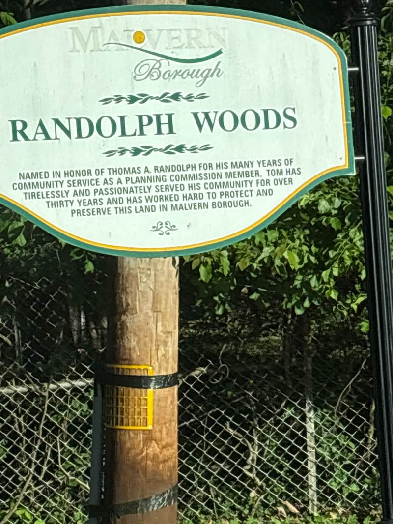 walking near me in Randolph Woods in summer