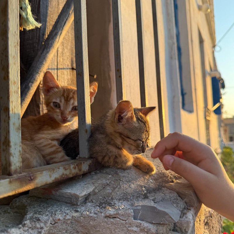 🎀~Eleni~🎀 profile