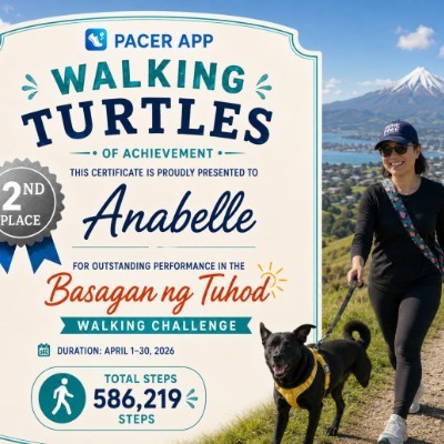 Walking Turtles Liz VB post image