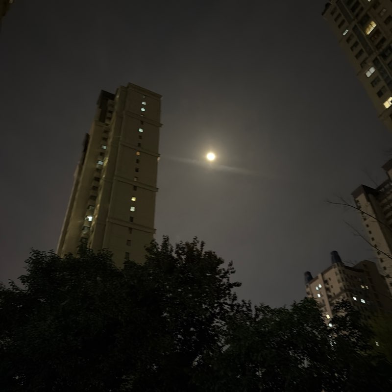 global Aruku 2026 Sophia post image