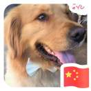 Michael Zhang profile