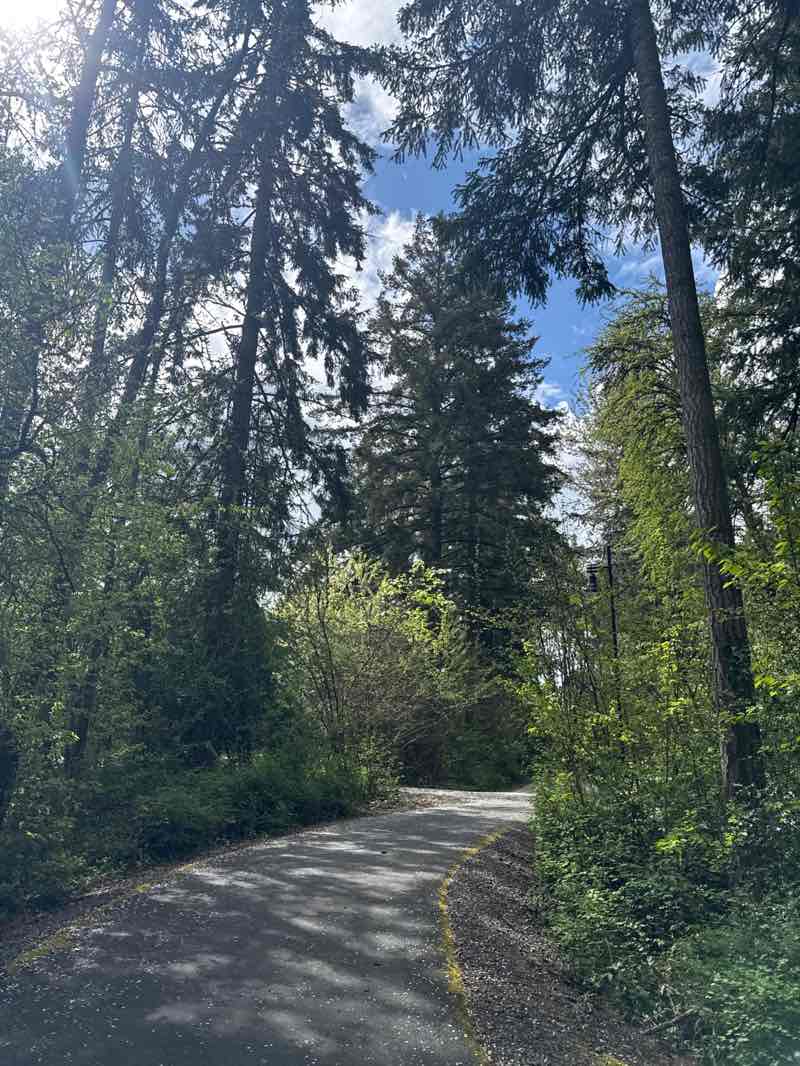 walking near me in Century Oaks Park in spring