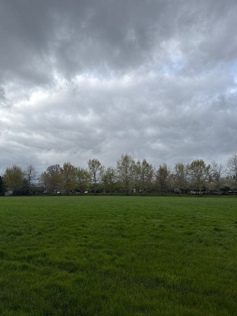 walking near me in Reedville Creek Park in spring
