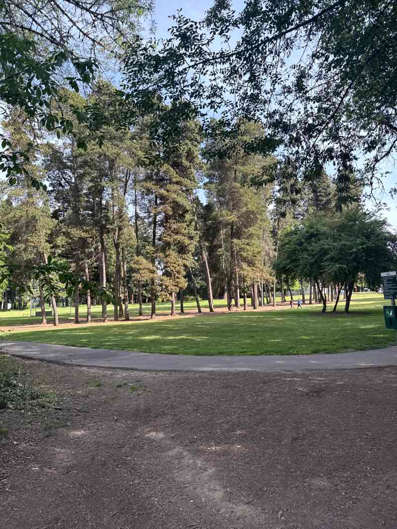 walking near me in Arnold Park in spring