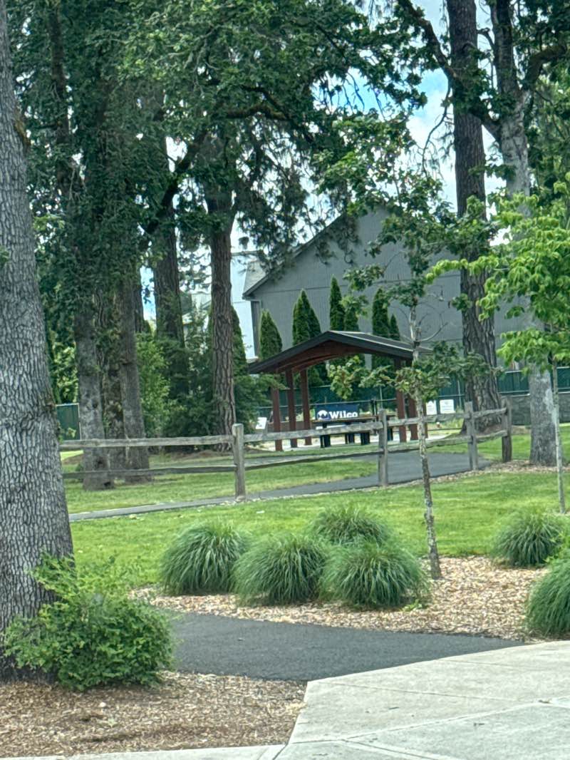 walking near me in Pío Pío Park in summer