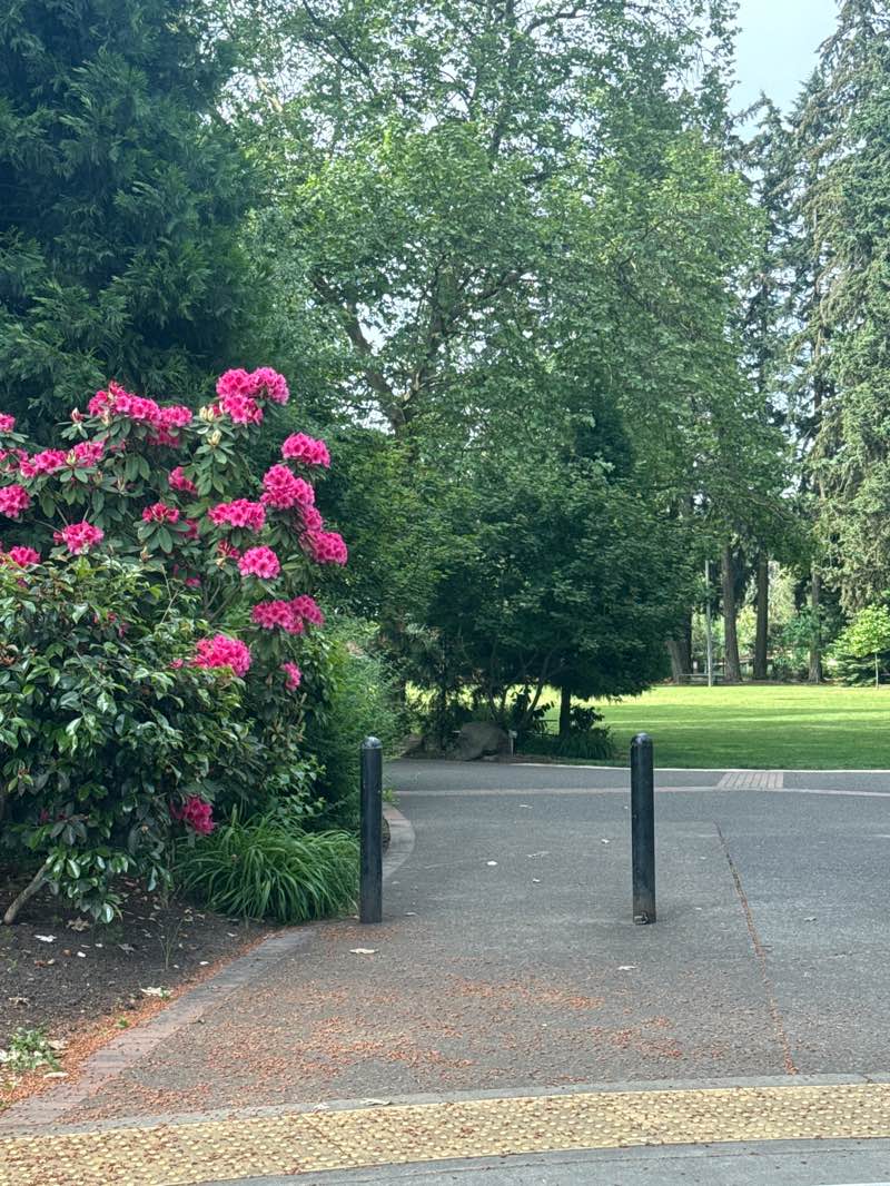 walking near me in Shute Park in summer