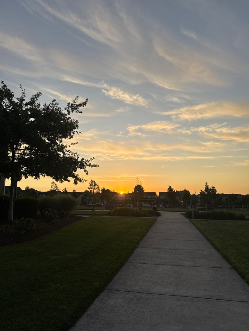 walking near me in Tamarack Park in summer