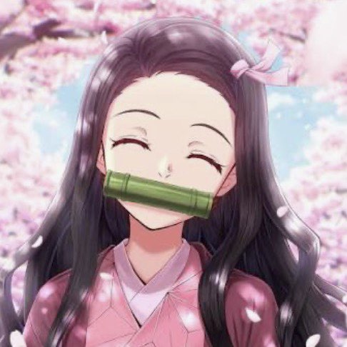 S8016-Joan 蛤 profile