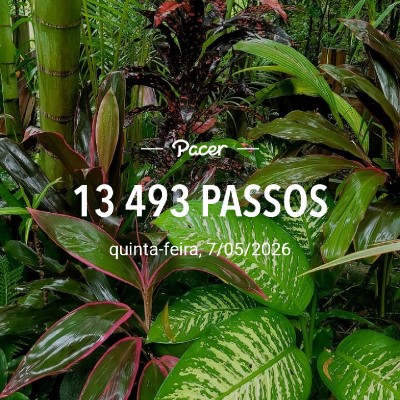 Passos da vida Faustino M 🇦🇴 post image