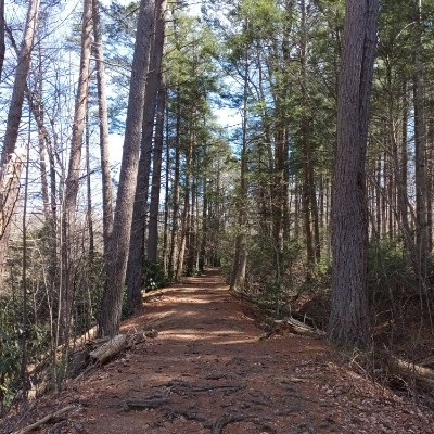 Walk it off Dorothy Zimmers post image