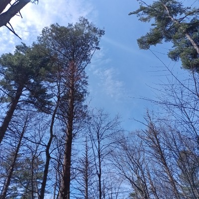 Walk it off Dorothy Zimmers post image