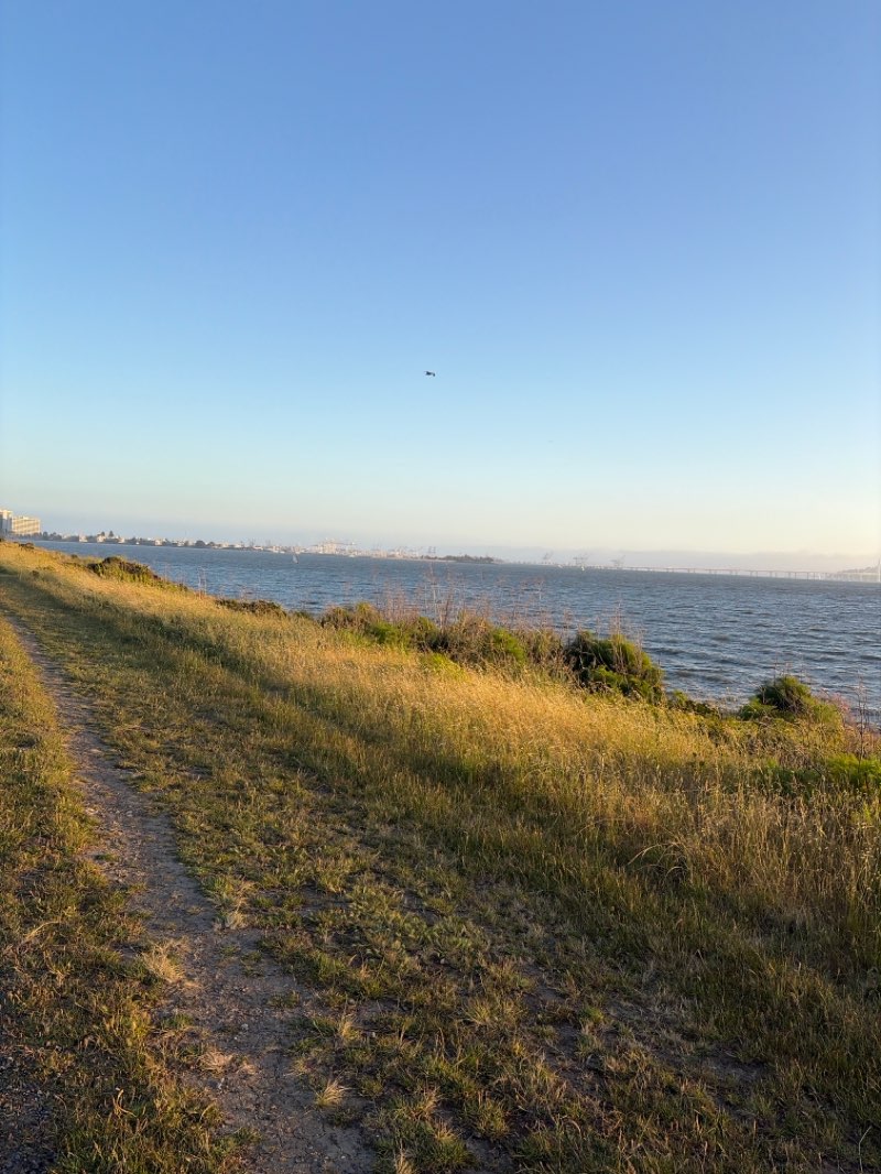 walking near me in Berkeley Beach in spring