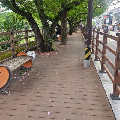 2026년 삼육부산병원 걷기 챌린지 강혜영 응급실 post image