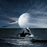 NightWhale