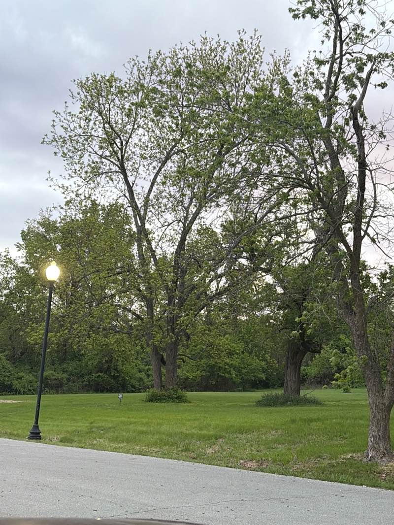 walking near me in Choplin-Hood Park in spring