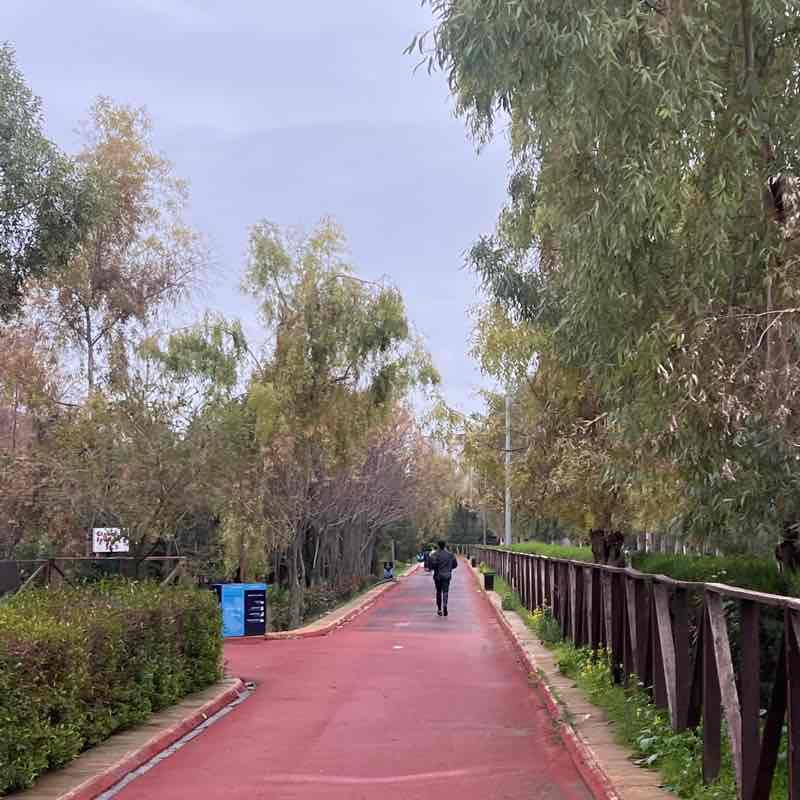 Semih khoshnaw post 1