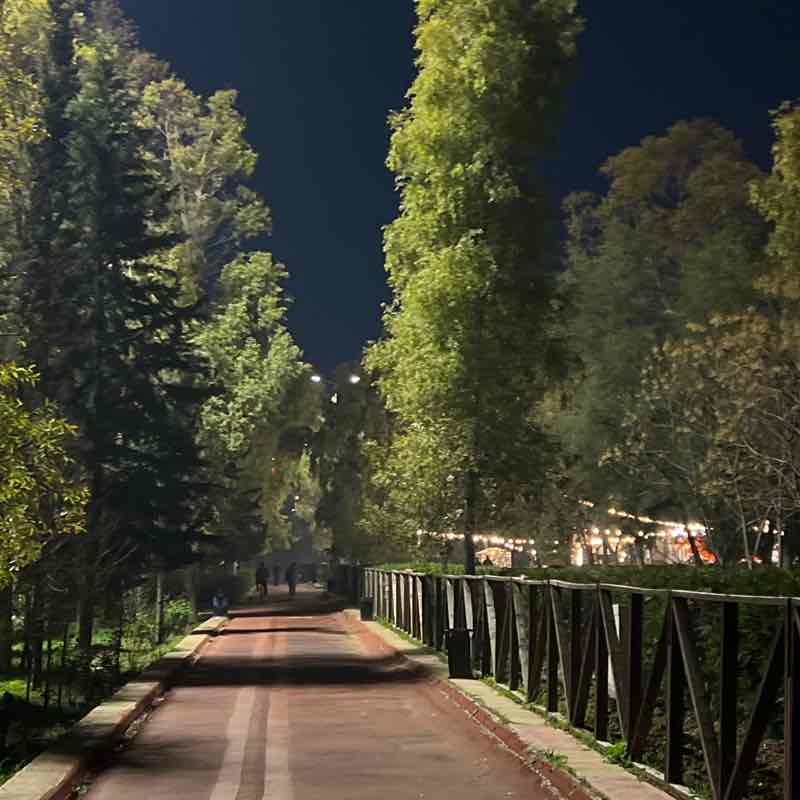 Semih khoshnaw post 1