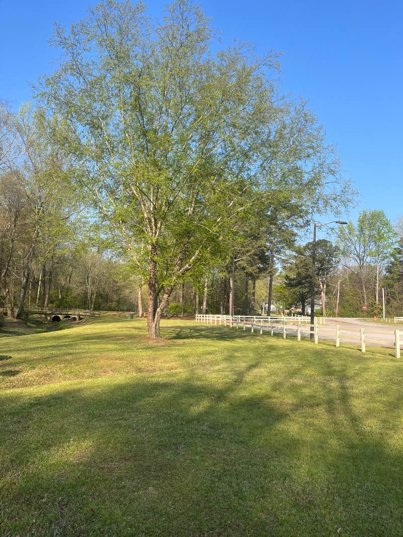 walking near me in Cochran Park in spring