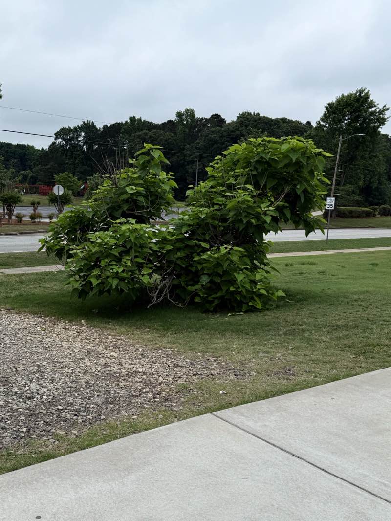 walking near me in Clayton County International Park in spring