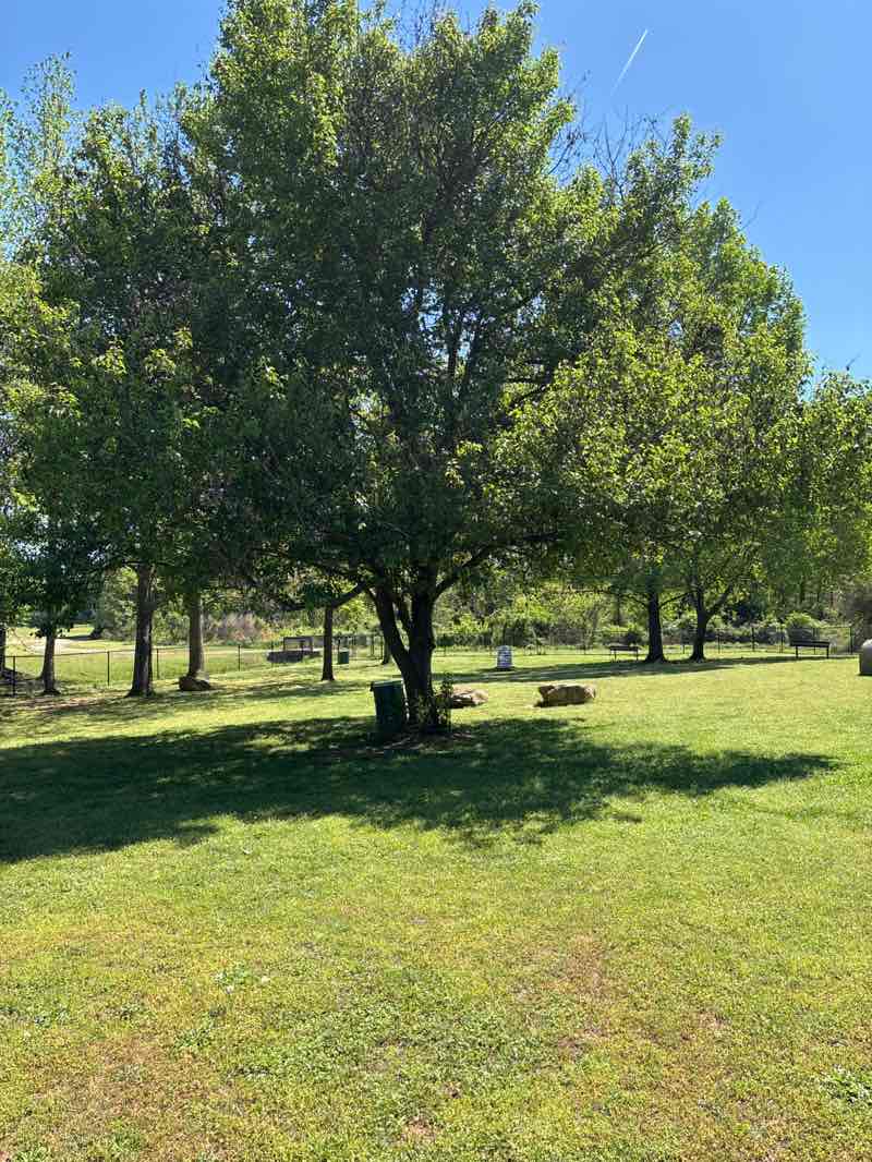 walking near me in Lovejoy Regional Park in spring