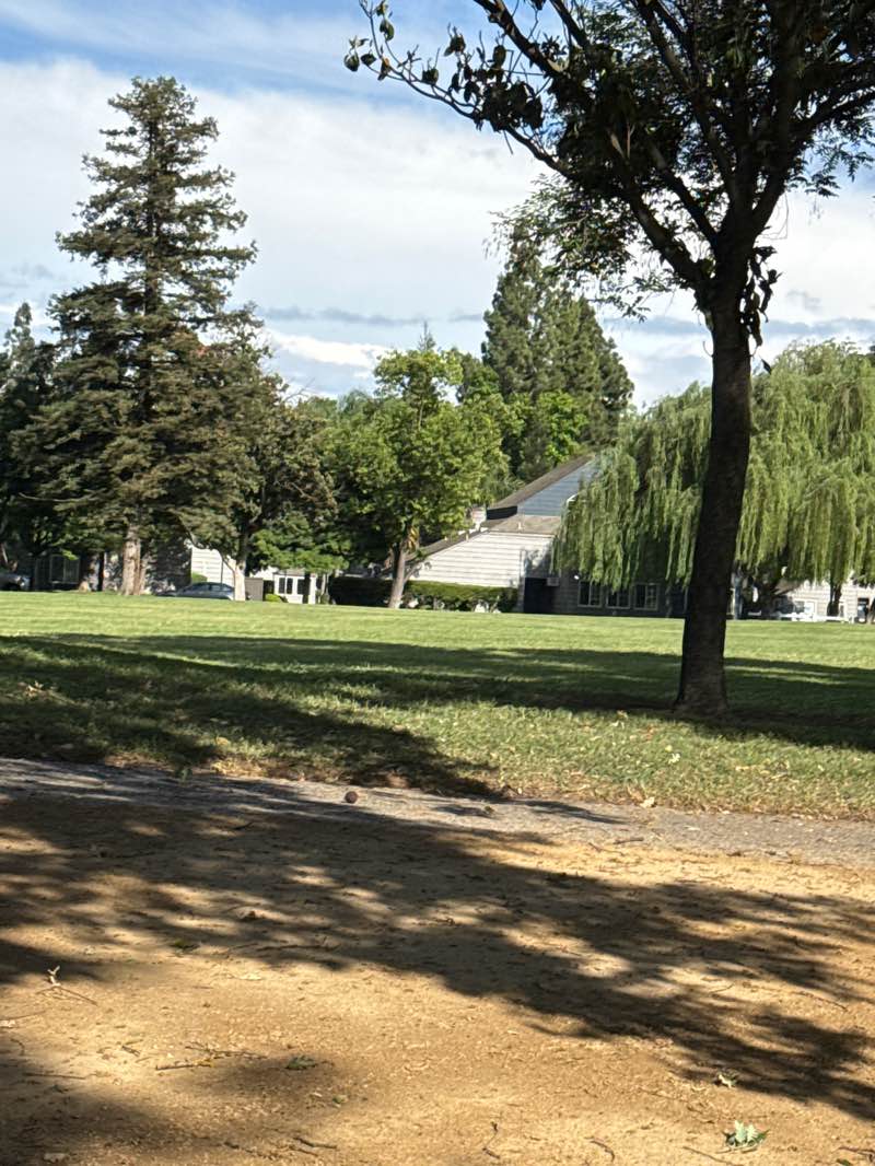 walking near me in Woodrow Park in spring