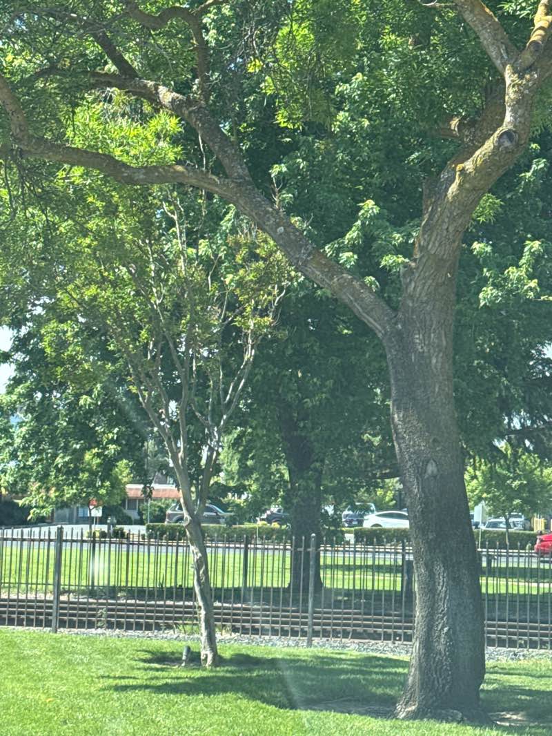 walking near me in Clarence E. Wood Park in spring