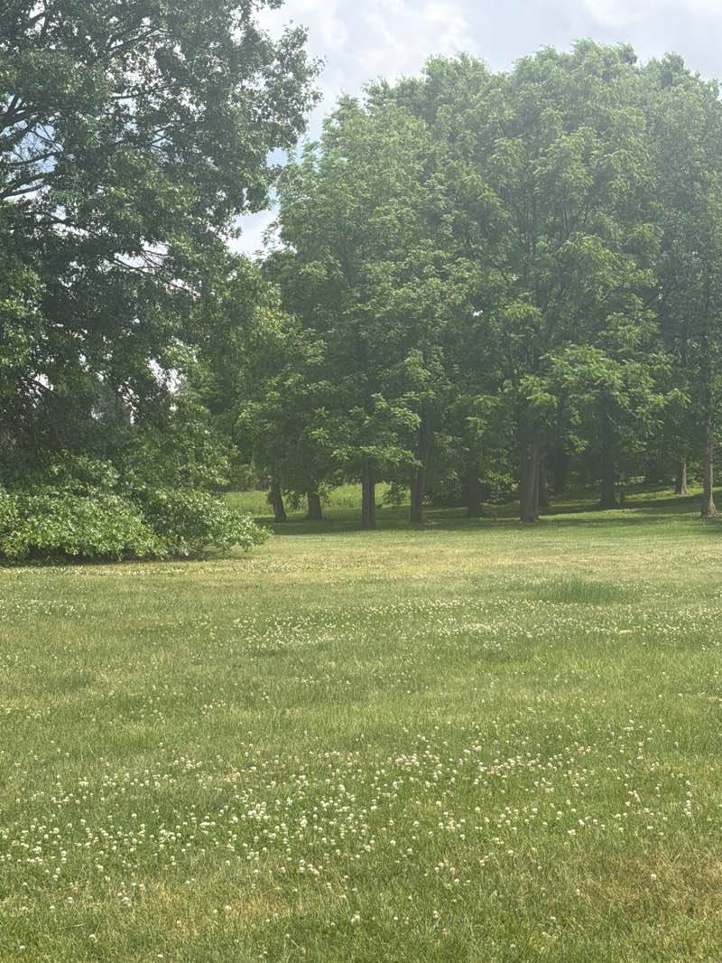 walking near me in University of Kentucky Arboretum in summer