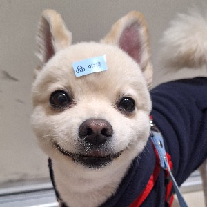 300병동 허지은 icon