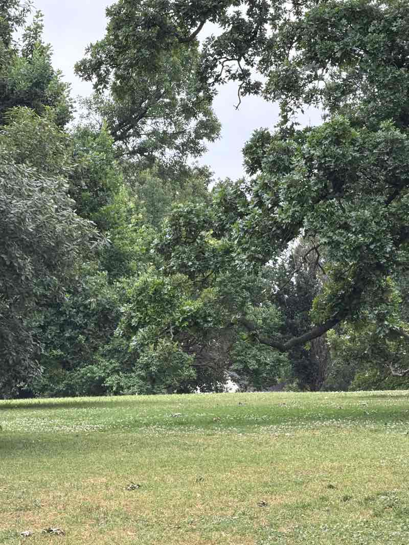 walking near me in Woodward Park in summer