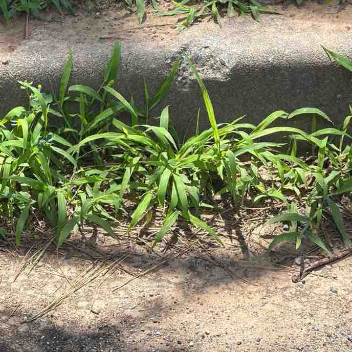 John Henzel Tennis & Pickleball post 2
