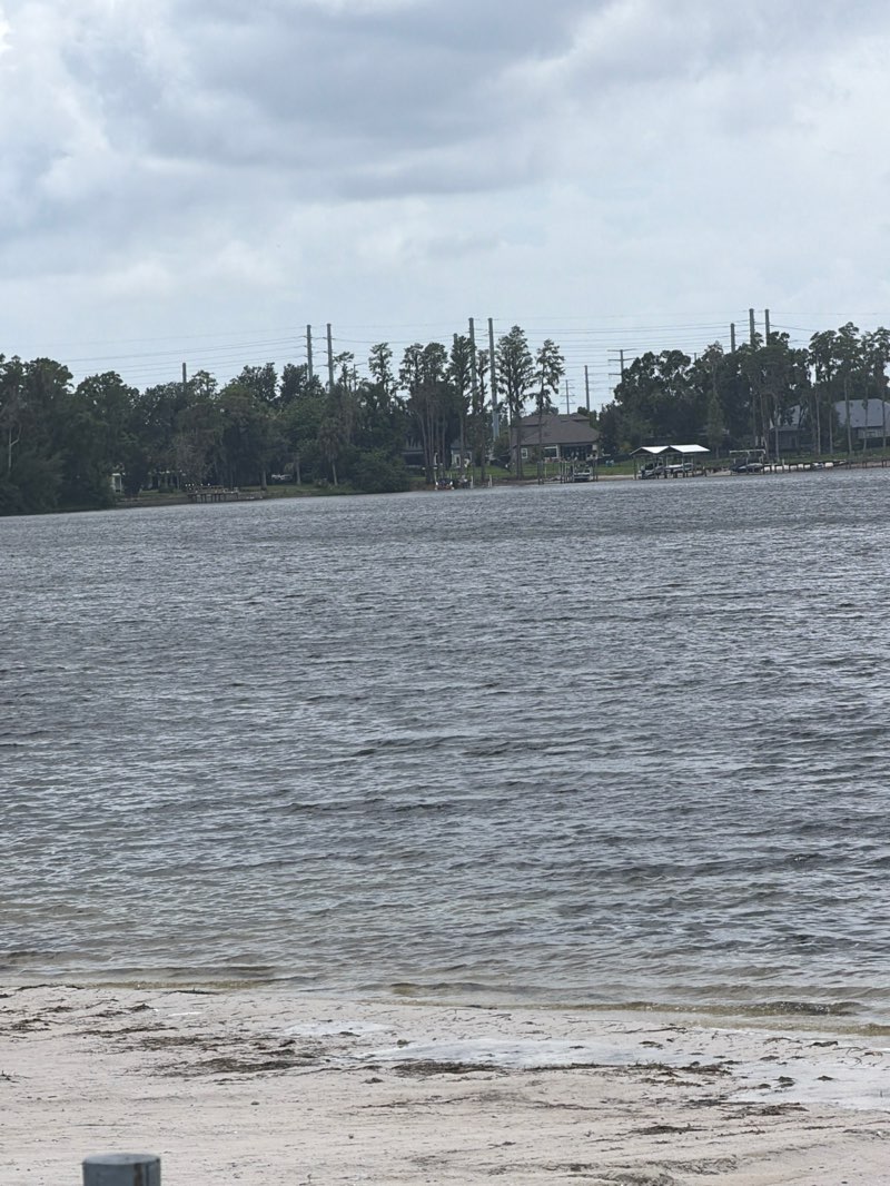 walking near me in Lake Padgett Park in summer