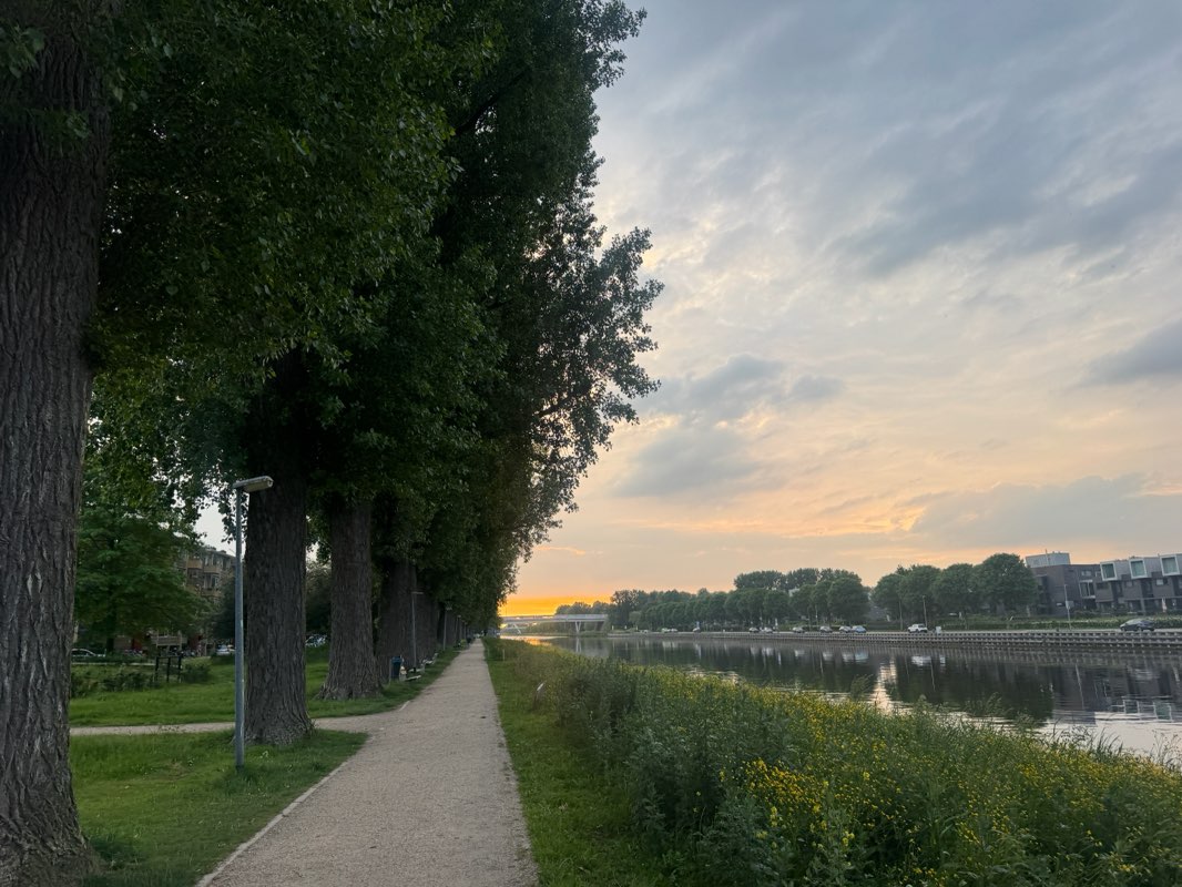 walking near me in Bernoulliplein in summer