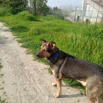 GBO team Anastasia Oikonomou GiftBasketsOverseas.com post image