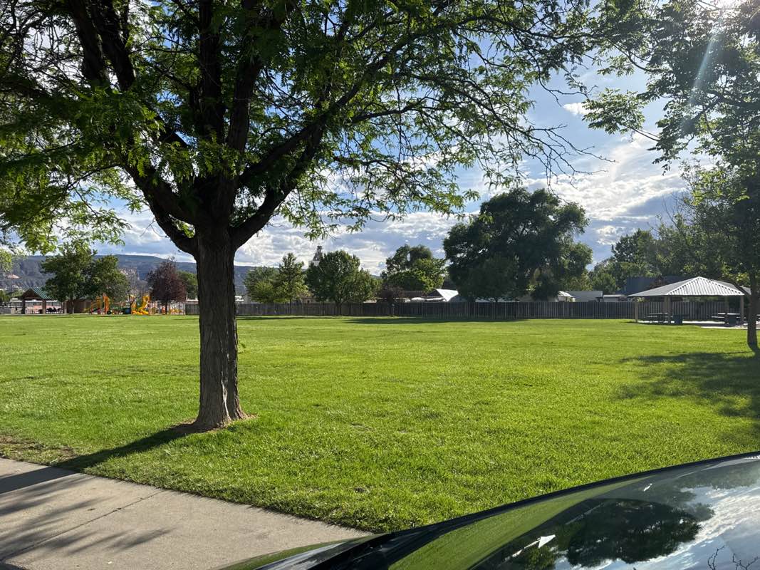 walking near me in Reed Park in summer