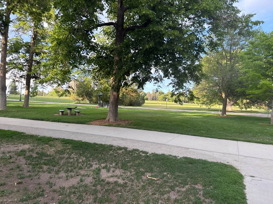 walking near me in Cheesman Park in summer
