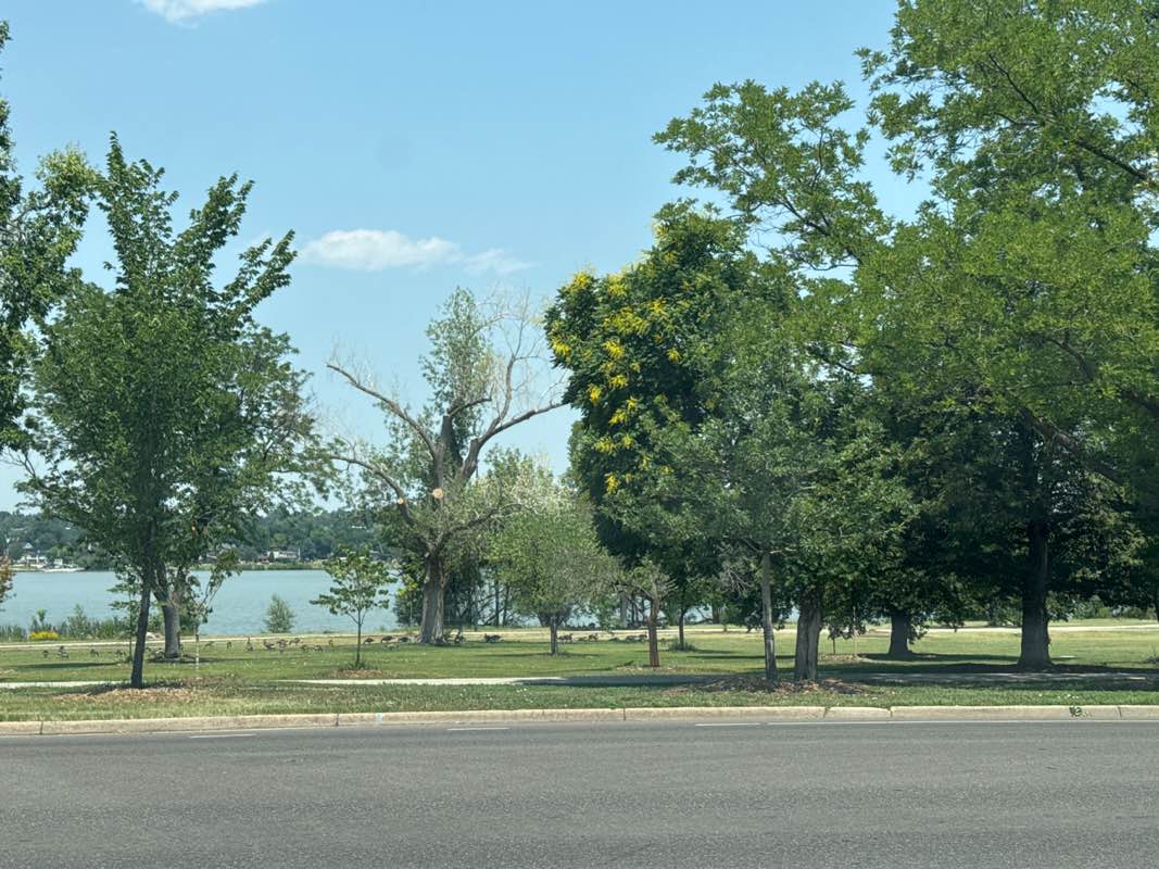 walking near me in Sloan's Lake Park in summer