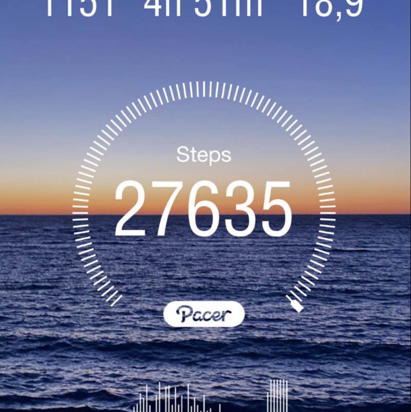 🌼🌹Run Daily 🏃🏼‍♀️🏃🏼‍♂️💚💙 Hike with Scott🥾⛰️ post image