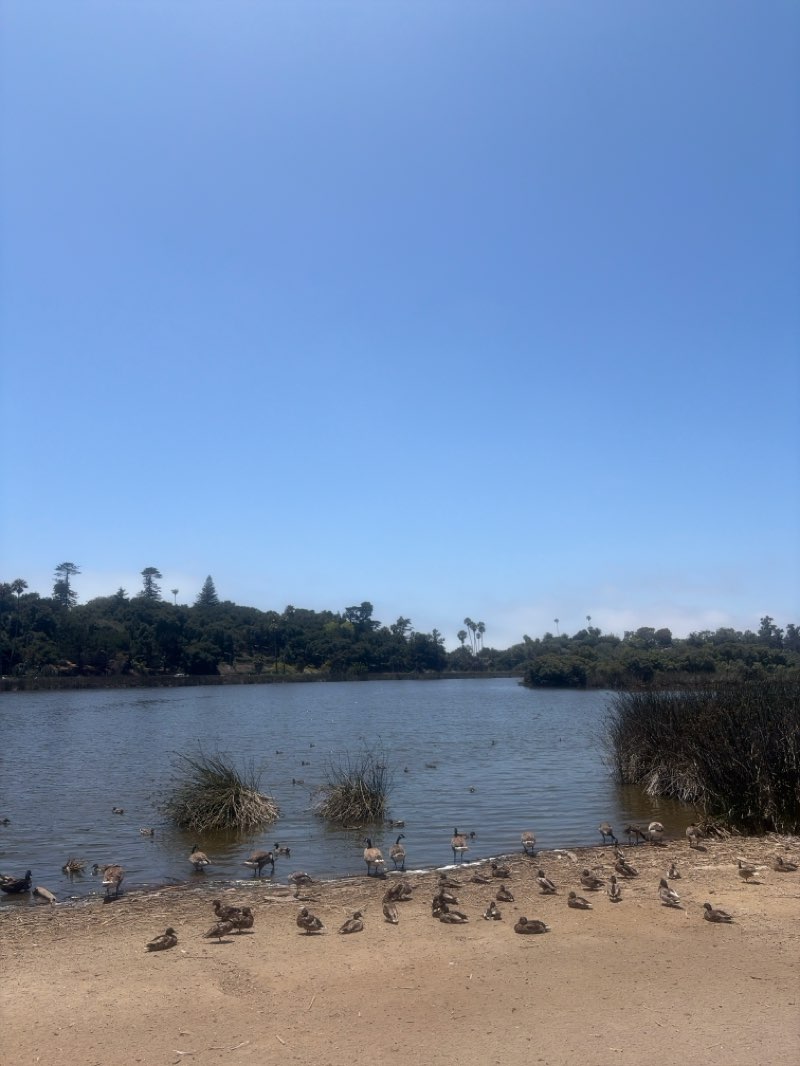 walking near me in Andree Clark Bird Refuge in summer
