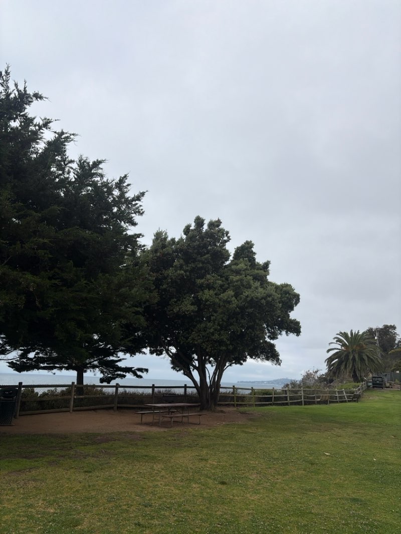 walking near me in Lookout Park in summer