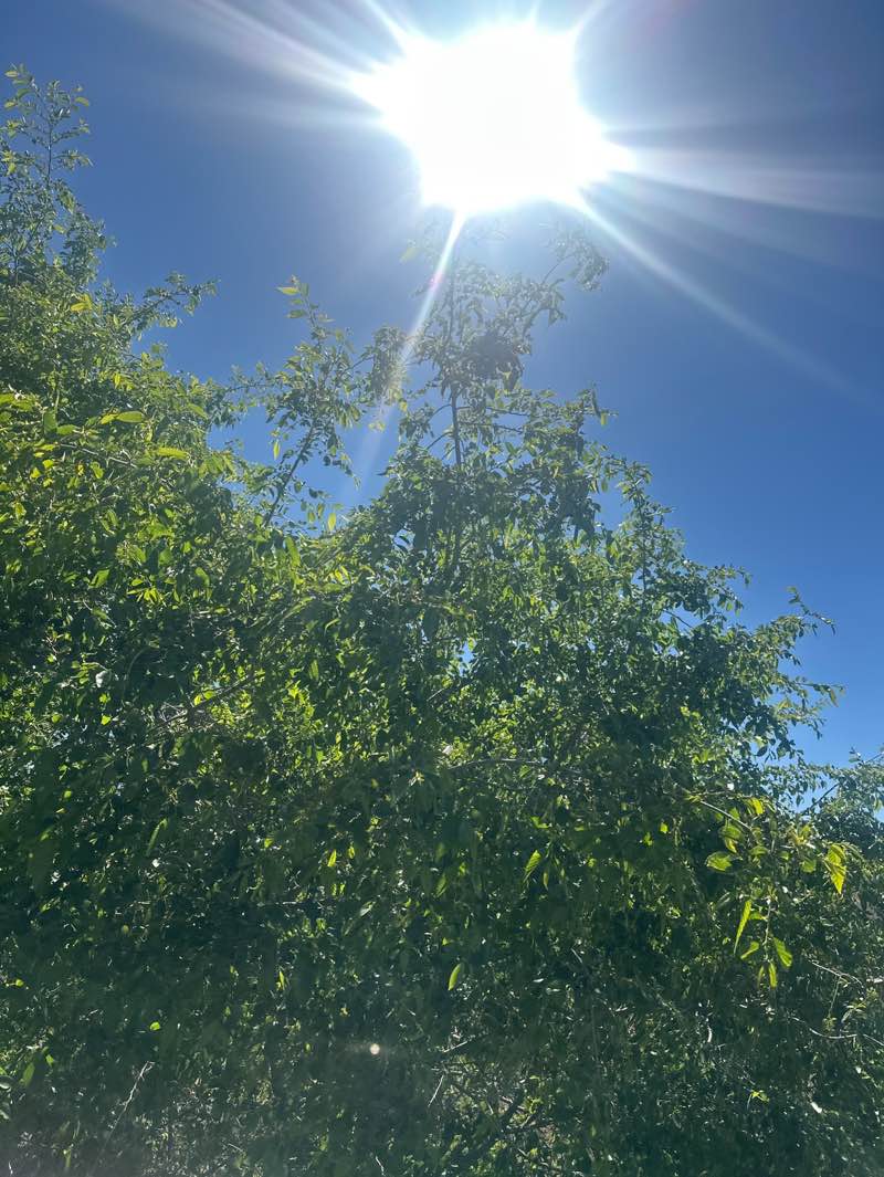 walking near me in 7th Street Park in summer
