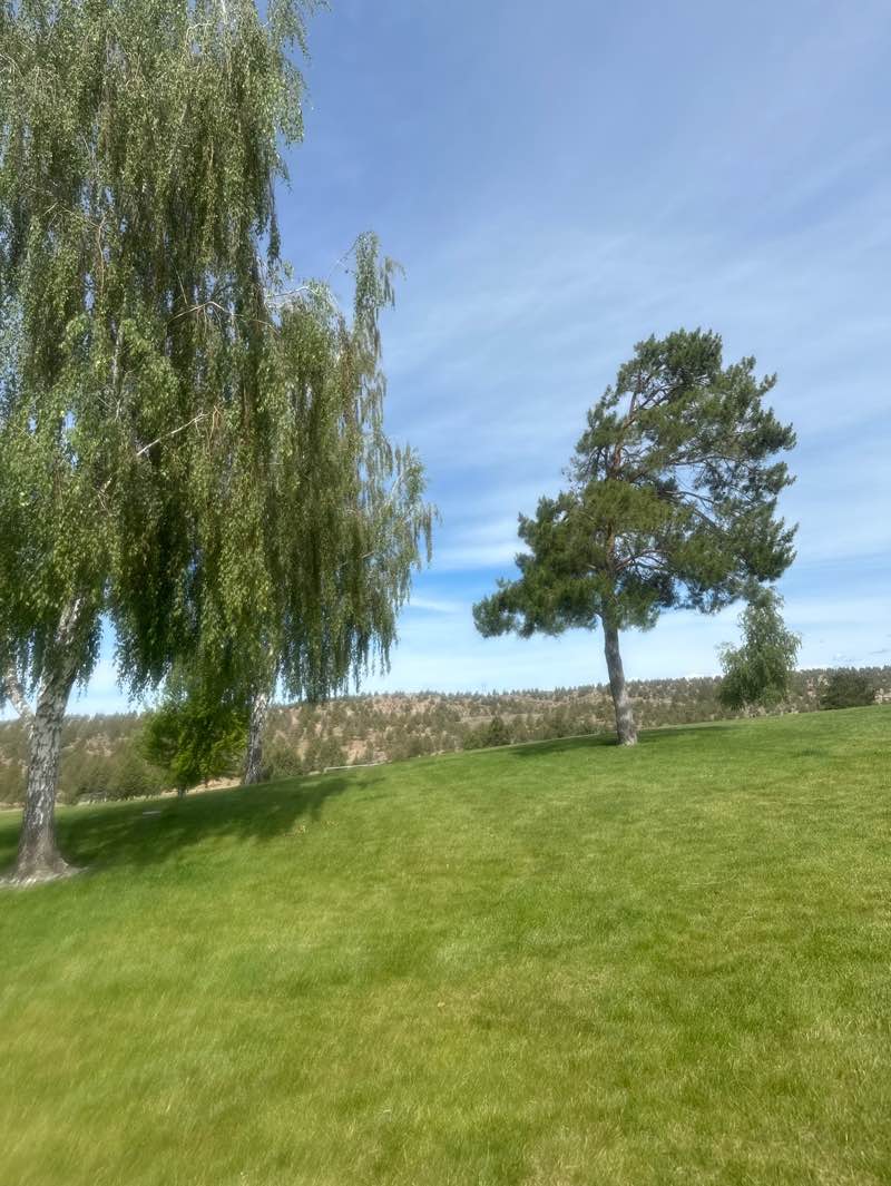 walking near me in Juniper Hill Park in summer