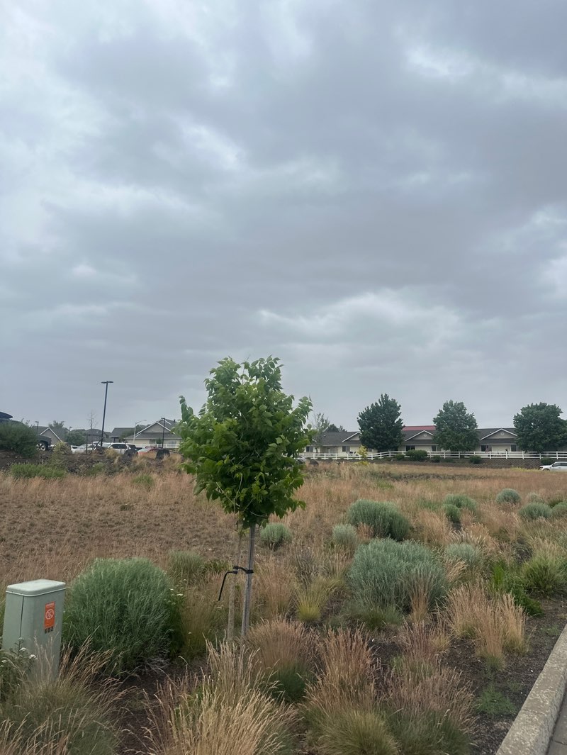 walking near me in Cowden Park in summer