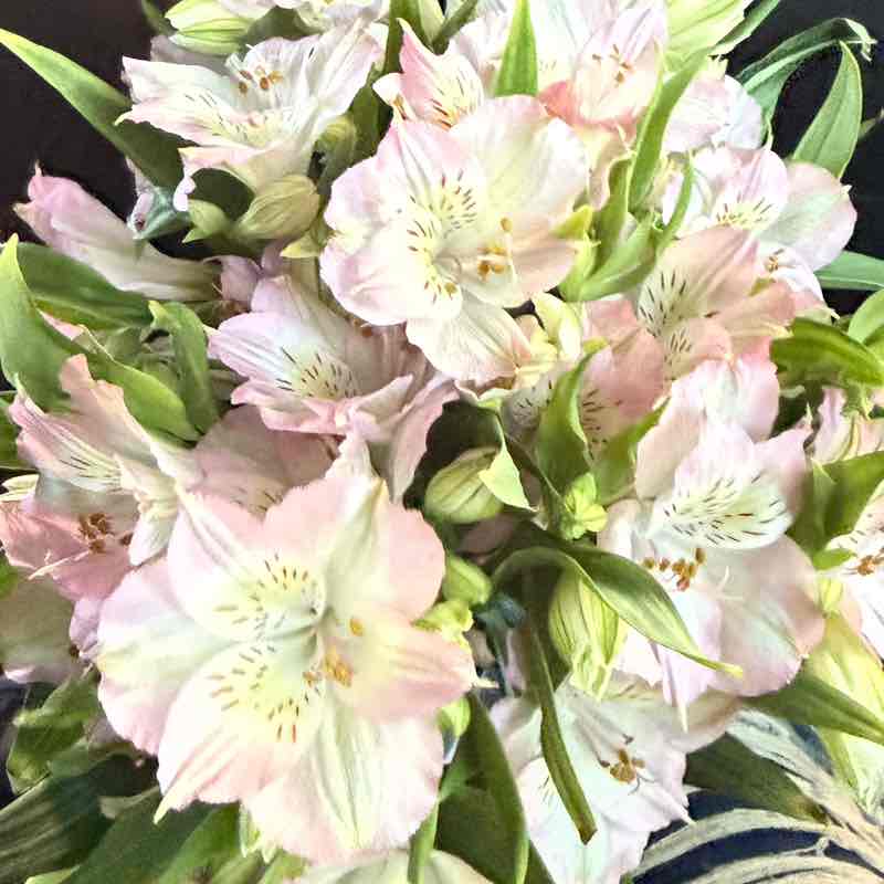 Ритм шага Нюта post image